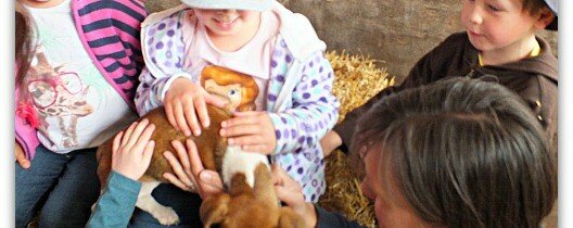 Lambing day at Amners Farm